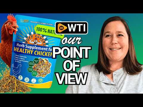 Buff Clucks Herb Supplement for Backyard Chickens - Natural Chicken Treats - WTI product video review