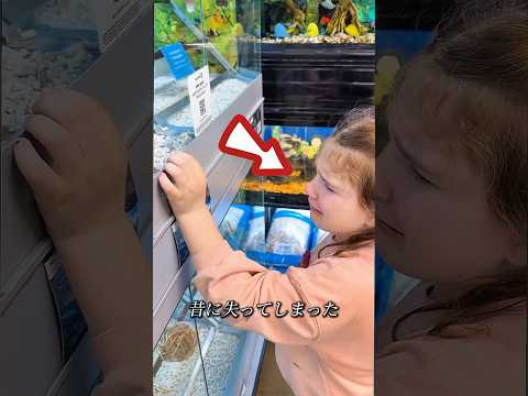 ペットの鳥を思いがけない場所で見つけました！