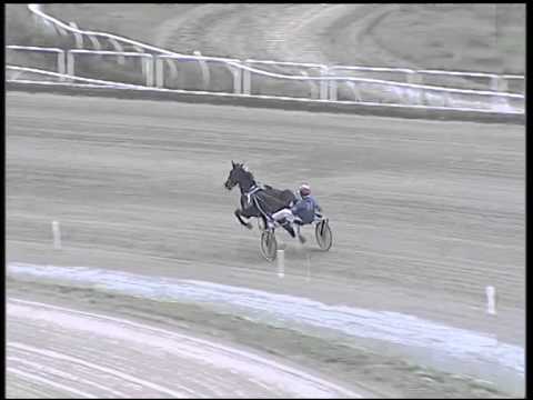 Trotto 30/11/2014 - 2° prova di riqualifica