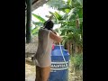 Simontok Lagi Mandi