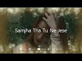Samjha Tha Tu Ne Jese Kab Dil Tha Mera Aise Status Tere Bin Drama Short Song Hbwrites Terebin
