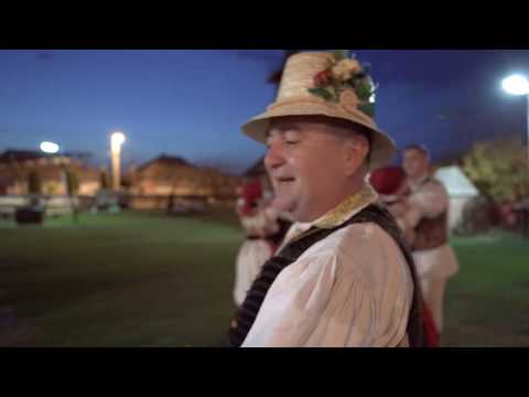 CORNEL BORZA - Dant Batranesc