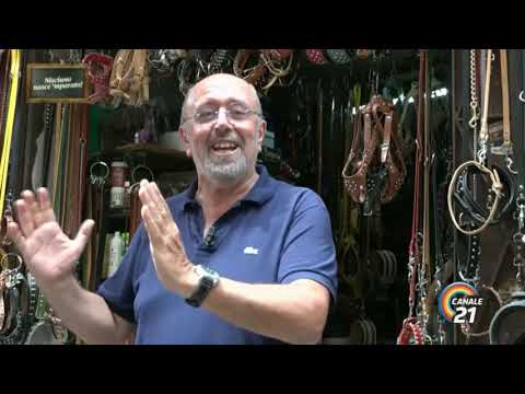 NISCIUNO NASCE 'MPARATO!   16  Il cavallo Persano e il logo della Ferrari!!