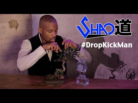 Shao Dow - #DropKickMan (Produced by The HeavyTrackerz)