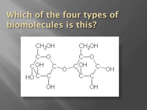 How to identify biomolecules structurally