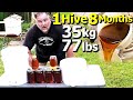 How To Grow A TON Of HONEY With ONE Beehive In Just 8 Months