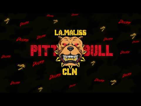 LA MALISS  X CLN  -  PITTBULL [SON OFFICIEL]