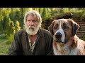 A Dog Leads His Master To A Gold Mine | Movie Recaps