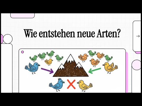 Synthetische Evolutionstheorie | EINFACH ERKLÄRT