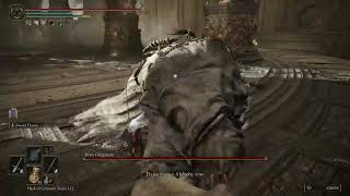 What Happens If You Give The Beast Clergyman All Deathroot Before Maliketh (Elden Ring)