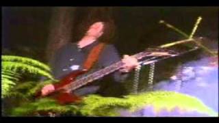 Mortification   Eternal Lamentation