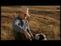 Truce DVD Movie Trailer