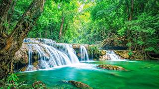 Beautiful Relaxing Music 2026 🌿 Calming Music to Restore the Nervous System & Relieve Stress