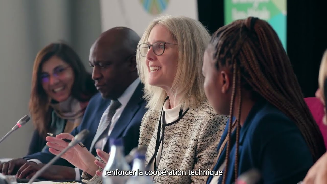 Voies innovantes pour la mobilité des compétences | Processus de Rabat et  Processus de Khartoum
