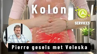 Kolon