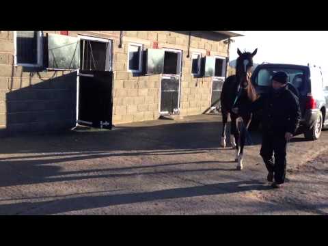 '12 C by Black Sam Bellamy ex Lady Howe