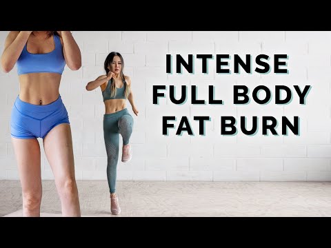 Intense Fat Burning Full Body Workout | No Jumping Variations Included