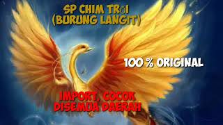 Download lagu Pengobat galau bos, terbukti ampuh. Sudah teruji di negeri tetangga mp3