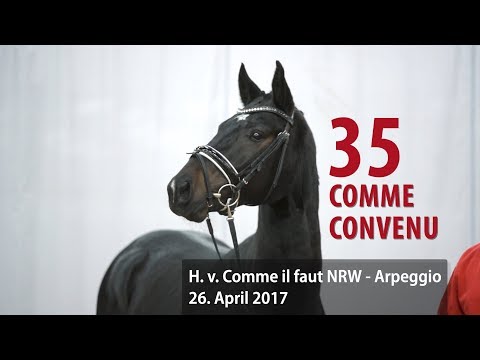 35 Comme Convenu Hengst v. Comme il faut - Arpeggio