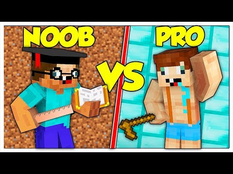 NOOB INTELLIGENTE CONTRO PRO STUPIDO! - Minecraft ITA