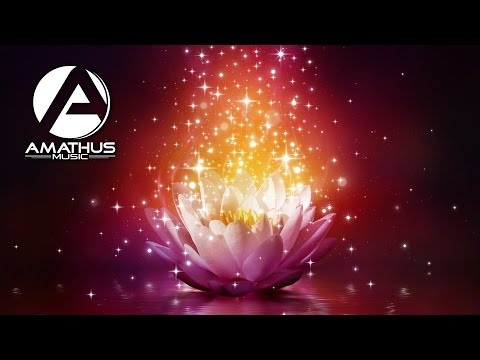 Kosca feat. Darren Stakey - You Are (Lyric Video)