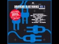 In Strict Confidence - Fading Light (Clubmix)