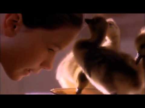 10000 miles - Mary Chapin Carpenter (Fly away home)