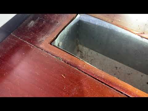 Floor Vents Full of Odorous House Ants