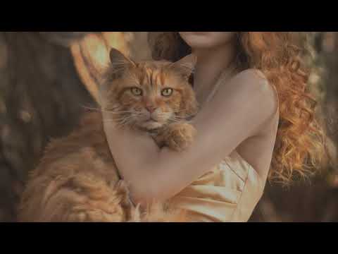 𝘞𝘦𝘯𝘨𝘪𝘦 & 𝘟𝘪𝘢𝘰𝘗𝘢𝘯𝘗𝘢𝘯 & 𝘟𝘪𝘢𝘰𝘍𝘦𝘯𝘨𝘍𝘦𝘯𝘨 _ 𝘓𝘦𝘢𝘳𝘯 𝘛𝘰 𝘔𝘦𝘰𝘸 (𝘴𝘭𝘰𝘸𝘦𝘥)