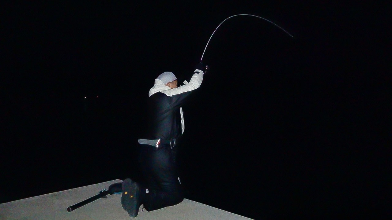 3月のメバル調査中、あの魚がヒットした。