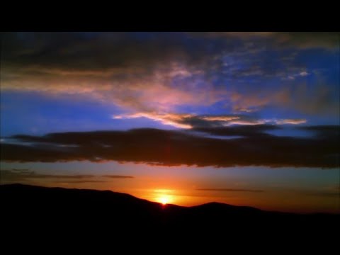 Gratitude - David Steindl-Rast