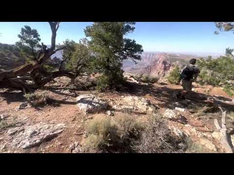Video of Desert View Campground, AZ from Corey B.