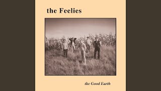 Music video thumbnail preview for The Last Roundup by The Feelies