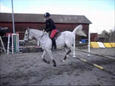 Jag blir så dum av dig ♥