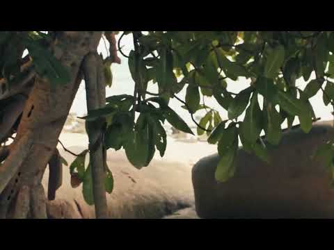 A Magician Home Alone #shortfilm #magic