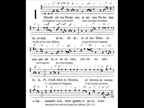 Introitus Introduxit, Octavam Paschae 2