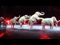 Ringling Brothers Circus Short Version