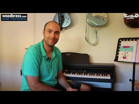 BIRD INSTRUMENTS DP1 - Test & Avis d'un client Woodbrass