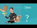 WHAT IS ZAKAH? (ANIMATED)