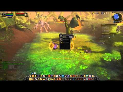 Bonus Objective: The Razorbloom (WoW, human, Paladin)