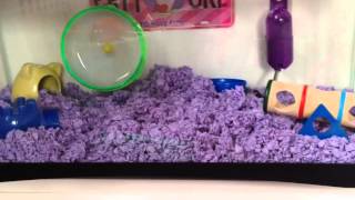 Good Travel Cages And Good Day To Day Cages