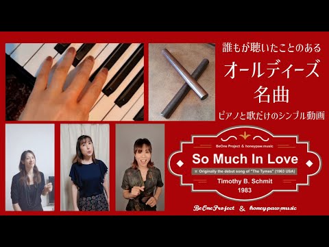 So Much In Love - Timothy B. Schmit