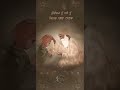 Masha Ali Sahara Baba Nanaka Gurbani Shabad Kirtan Shortvideo