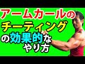 限界からもう少し追い込む!ダンベルアームカールの効果的なチーティングのやり方!上腕二頭筋にさらなる刺激!