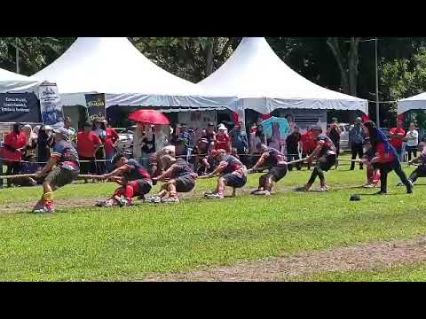 VAT 69 VS BLUE FIRE(Blue Tiger + Selfire)