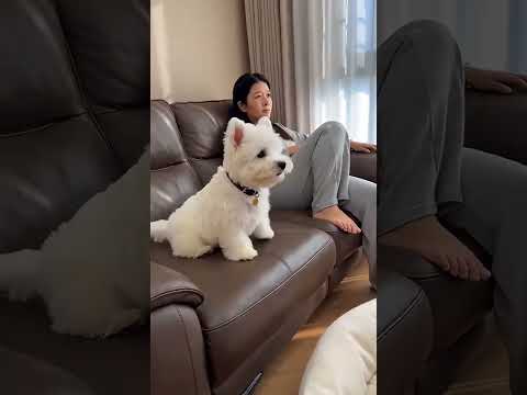 Bất ngờ chưa
