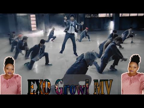 EXO 엑소 '으르렁 (Growl)' MV (Korean Ver.) | Reaction