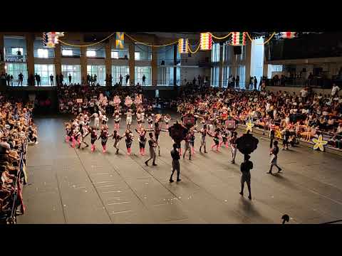 Marchas TV - Marcha Popular da Lifeshaker 2019