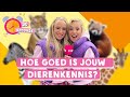 NOEM ZOVEEL MOGELIJK DIEREN MET TWEE KLEUREN IN 30 SECONDEN | TinaTV
