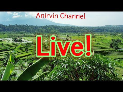 Anirvin Channel Silent Live